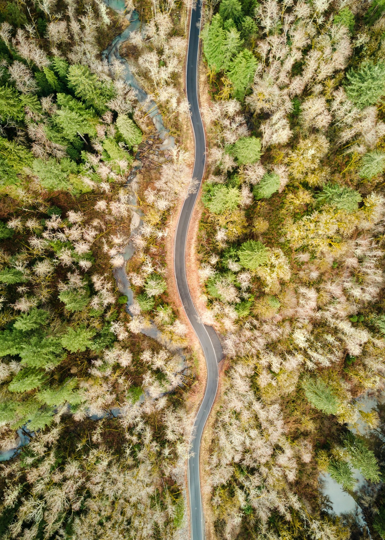 Capturing Breathtaking Landscapes with Drones